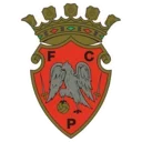 Escudo do Penafiel